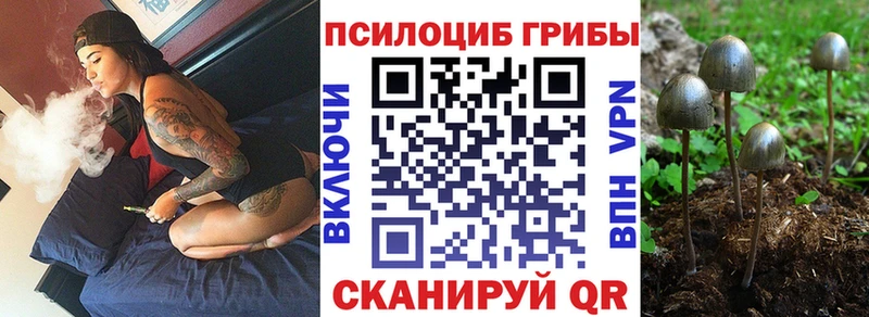 Галлюциногенные грибы мухоморы  блэк спрут как войти  Приозерск 